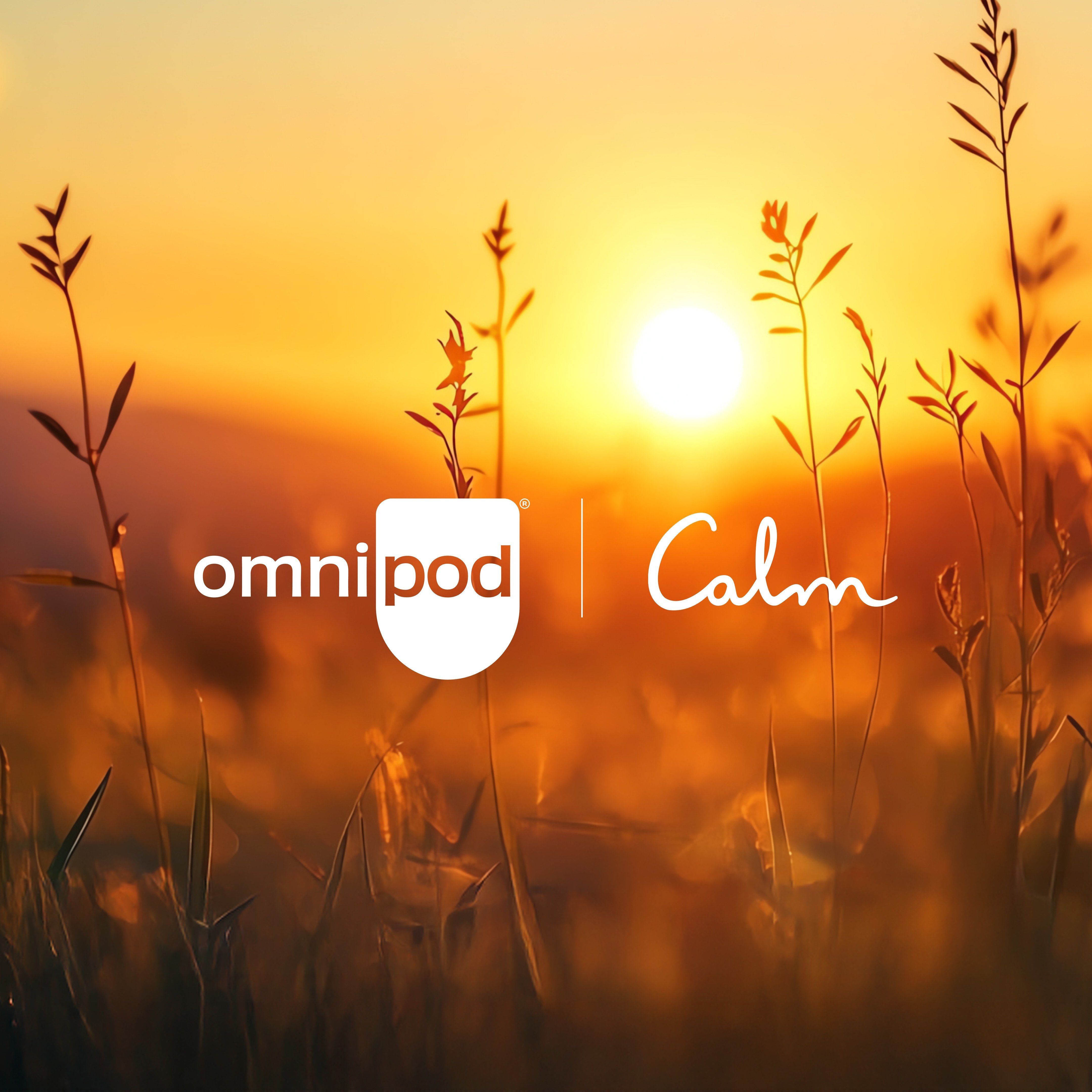 Insulet and Calm Launch ‘Mind in Range’ Wellness Tools for Diabetes Care